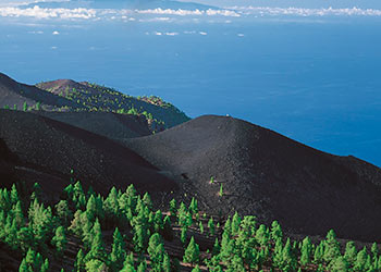 Subvenciones La Palma Instalación placas solares La Palma